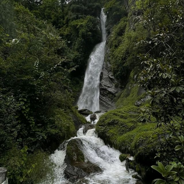 Off the Beaten Path in Cona County And Totally Worth It