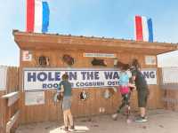 Rooster Cogburn Ostrich Ranch|圖森必玩餵食動物趣味攻略