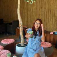 #สายมัทฉะต้องมา #SafariMatcha #เขาใหญ่ต้องแวะ