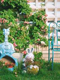 Hefei’s Countryside “Monet Garden” | A Hidden Floral Wonderland 🌸🌾