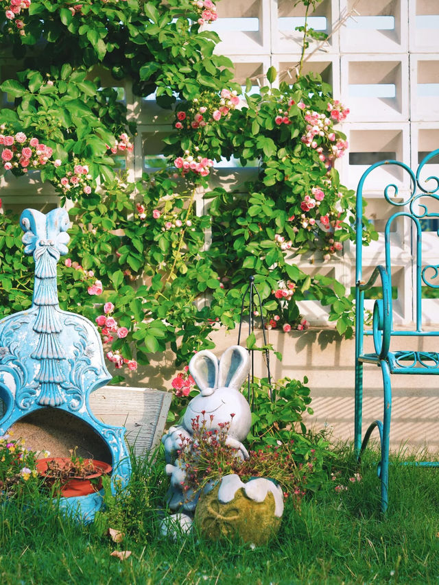 Hefei’s Countryside “Monet Garden” | A Hidden Floral Wonderland 🌸🌾