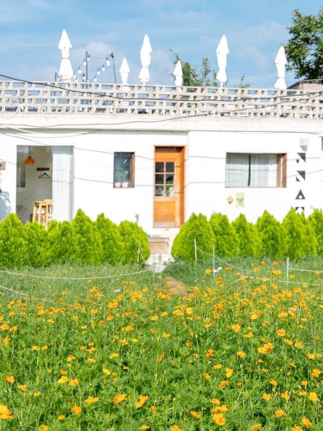 수원 행궁동에 이른 가을이 찾아왔어요🧡