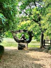 Xixi Wetland: Where Watertown Charm Meets Untamed Nature – A Living Canvas of Jiangnan