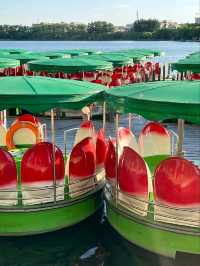 “The Imperial Garden Dream — Summer Palace”