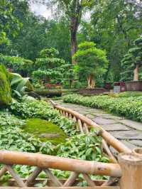 Wuhou Shrine: Heart of the Three Kingdoms