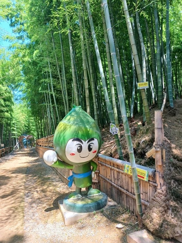 대나무 숲의 매력에 퐁당