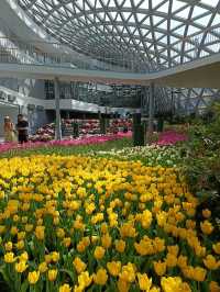 Hilton garden inn Rayong