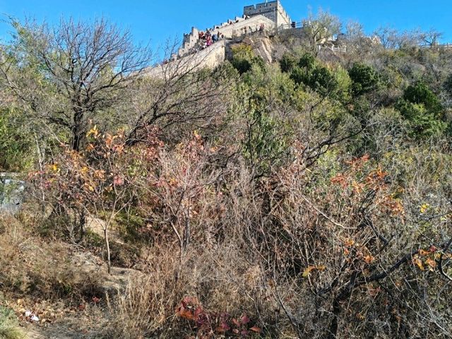 Hiking from Beiyi Tower to Beisi Tower on Badaling Great Wall: A Scenic Journey