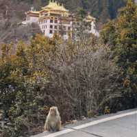 Yading Nature Reserve (Sichuan)