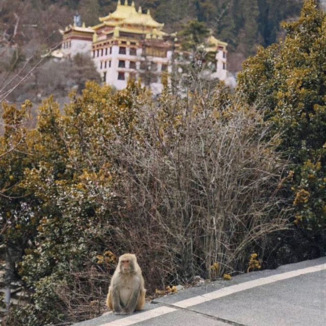 Yading Nature Reserve (Sichuan)