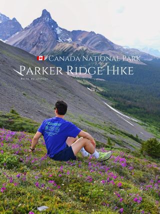 Parker Ridge Trail 