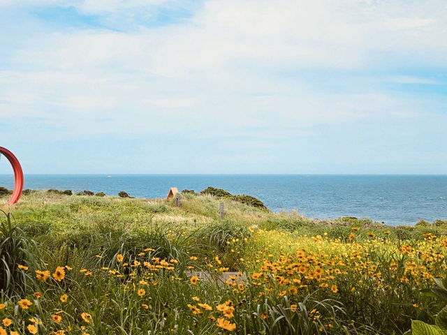 A Photographer's Paradise of Contrasting Colors and Textures