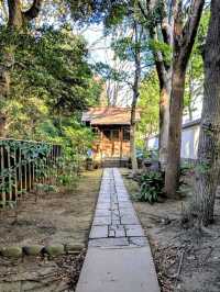 Quiet Moments at Koishikawa Korakuen Garden – Tokyo