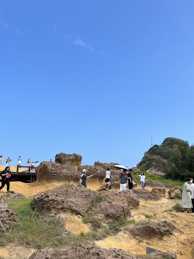 🍄Alien Landscape in Taiwan? Welcome to Yehliu's Mushroom Rocks!