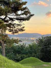 📍Daegu 2D1N Under RM300 – Korea’s Hidden Gem on a Budget! 🇰🇷