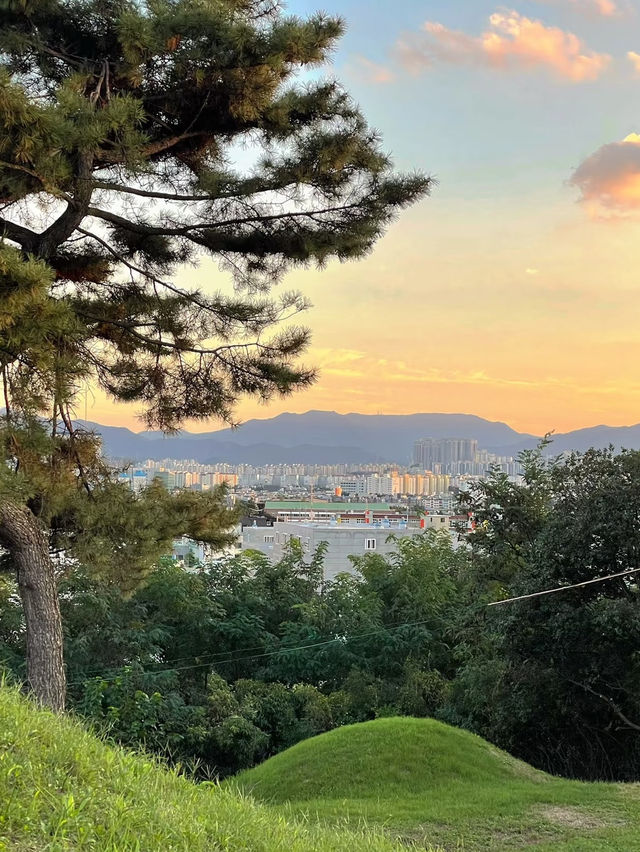 📍Daegu 2D1N Under RM300 – Korea’s Hidden Gem on a Budget! 🇰🇷
