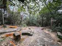 Longchuan Rock Was Like a Nature Playground with Cool Views