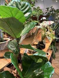 🎨アートも、メディアも、喫茶時間も──初台で一日楽しめる文化の拠点へ