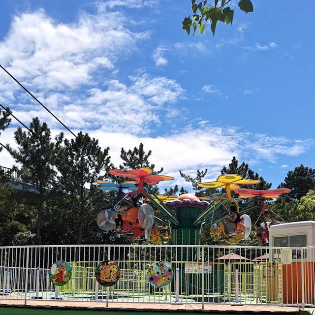 【神奈川/横浜🇯🇵】海と生き物と遊びが融合🐠🫧‪横浜・八景島シーパラダイス