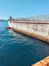 A peaceful waterfront space that offers breathtaking views of Mutsu Bay and passing cruise ships