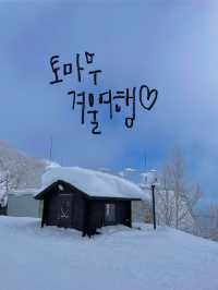 🎿 지금부터 준비해야 할, 겨울 토마무 여행❄️