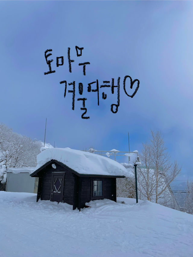 🎿 지금부터 준비해야 할, 겨울 토마무 여행❄️