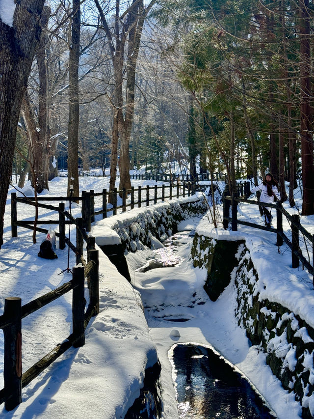 📍 삿포로 감성 스냅 스팟 추천🍀🌿🍜