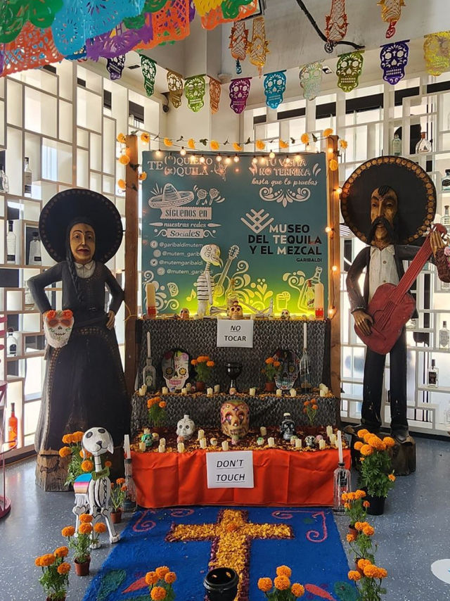 🌵 멕시코 여행 – 마야 문명과 태양 아래 펼쳐진 뜨거운 여정