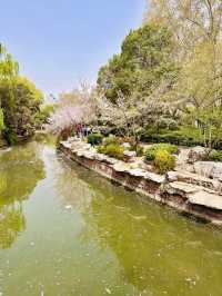 🏞️ Lakeside Escape in the City — Huxin Island, Renmin Park, Zhengzhou