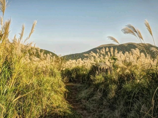 Wandering Through the Steamy Trails of Huangzuishan Ecological Conservation Area