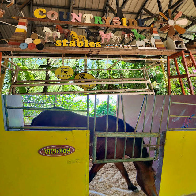 Hidden Country Stables in Penang