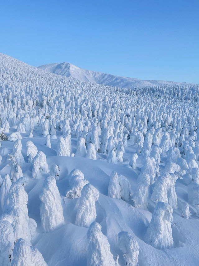 Zao onsen ski resort 