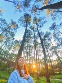 A stylish “nature + tech” stay in Bandung.