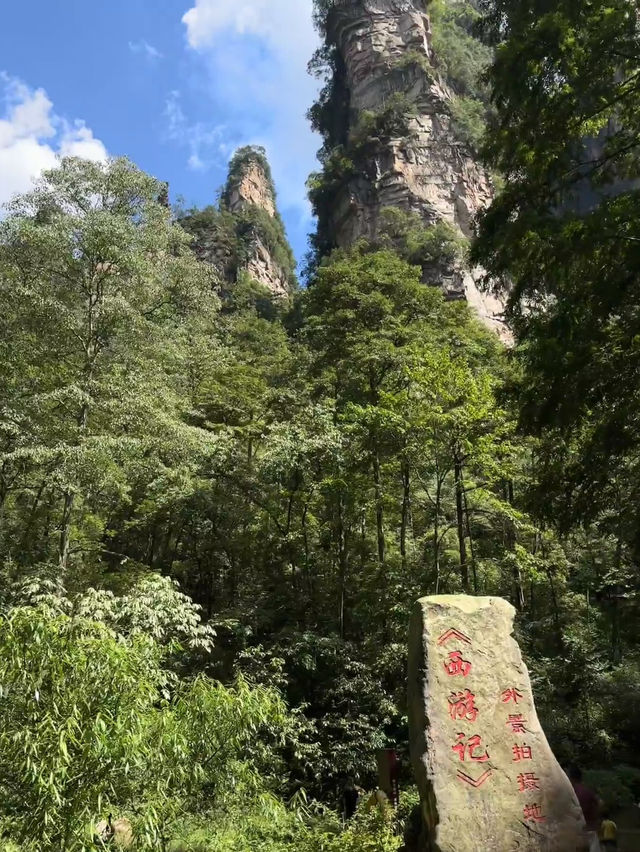 【張家界金鞭溪】終極遊玩攻略 | 峽谷中的天然畫廊 🌿