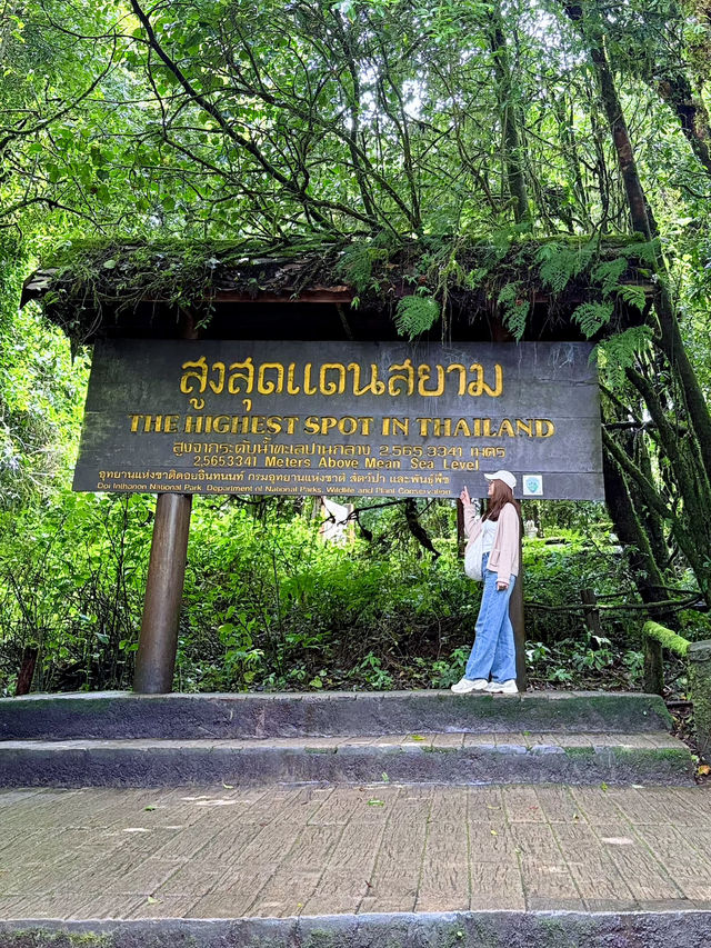 เดินชมธรรมชาติที่จุดสูงสุดแดนสยาม 