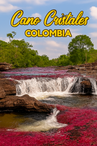 🌈 แม่น้ำแห่งสีสันที่โลกต้องตะลึง – Cano Cristales