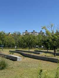 🌿 쉼과 여유가 있는 수원 망포 글빛누리공원 🌳