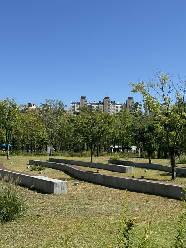 🌿 쉼과 여유가 있는 수원 망포 글빛누리공원 🌳