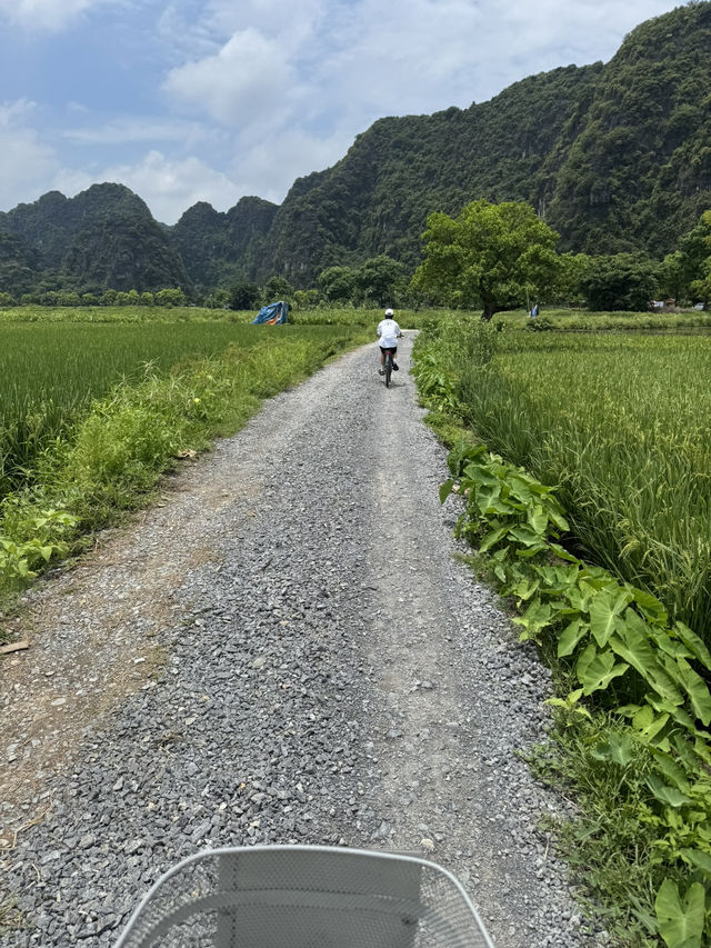 2 Days 1 Night in Ninh Binh – A Peaceful Escape 🌾✨