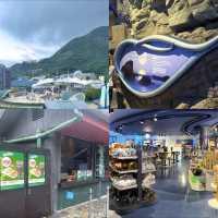 รีวิวสวนสนุก Ocean Park Hong Kong 🎡