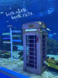 HaiChang Ocean Park ShangHai
