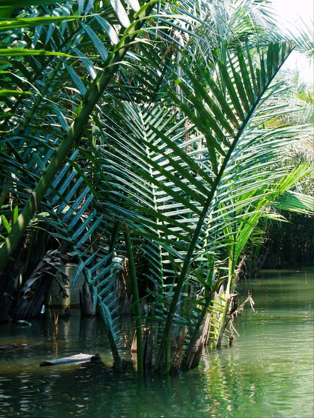 🏞️ : ล่อง Basket Boat เที่ยวฮอยอัน ดานัง 🏞️ : ล่อง Basket Boat เที่ยวฮอยอัน ดานัง