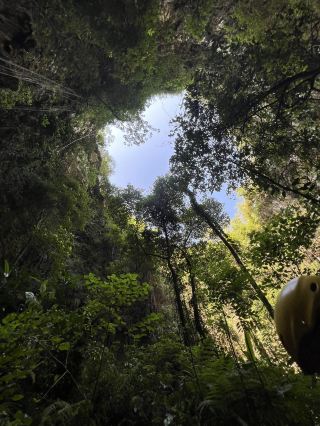 Ke Dalam Kedalaman Gua Jomblang