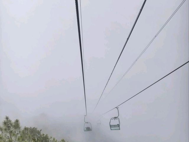 altTitle altTitle