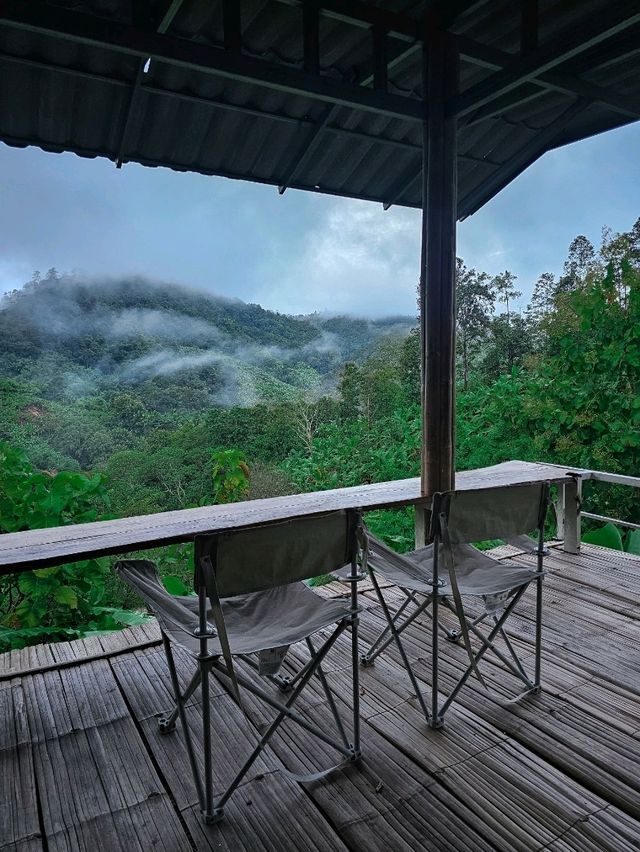 YAZAMA Homestay | แม่แตง