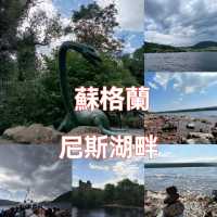 蘇格蘭尼斯湖畔尋找尼斯湖水怪