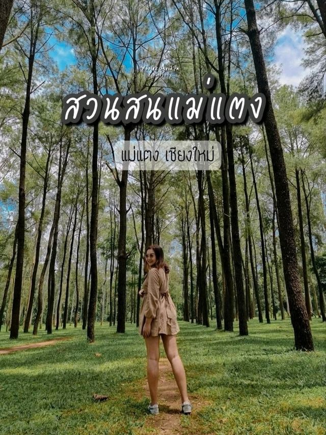 ธรรมชาติโอบกอดที่สวนสนแม่แตง🌲