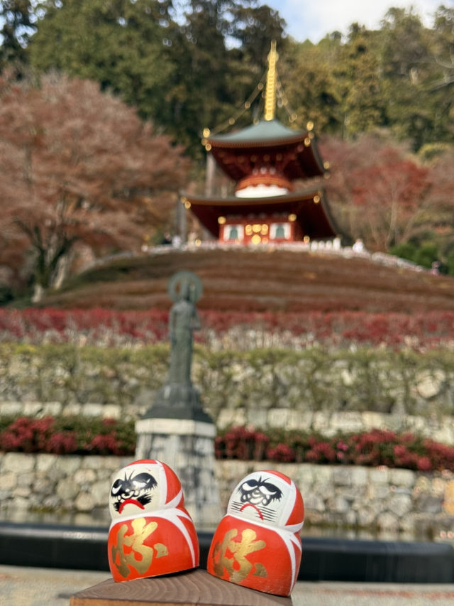 大阪近郊紅葉靚景（期間限定）