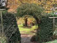Ayrlies Garden and Wetlands