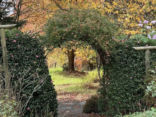 Ayrlies Garden and Wetlands